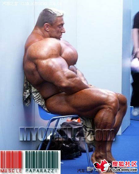 SEARCH AND BUY THIS PRODUCT 史上最强肌肉男图片(2)_WWW.JXZHLYW.COM