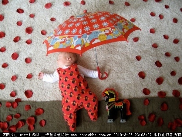 http://file.itpub.net/attachment/day_100826/20100826_dbd70a6cb0fdf2877576ZR15aoDbHzCh.jpg