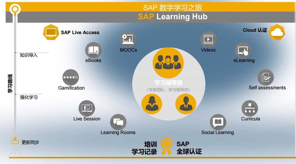 sap live access sap live access